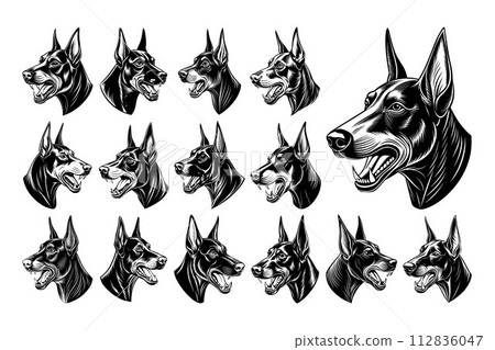 Profile side view of dobermann dog head design vector set 112836047