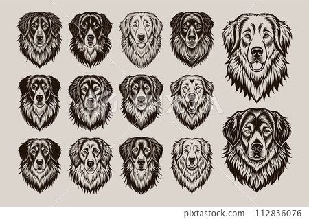 Front view of great pyrenees dog face illustration design set 112836076
