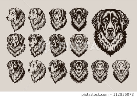 Set of detailed great pyrenees dog face sticker illustration design 112836078