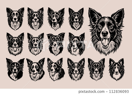 Barking border collie dog head illustration design bundle 112836093