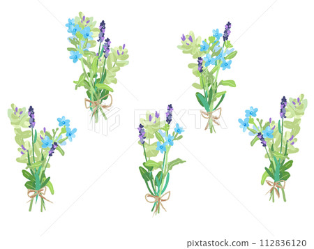 Lavender blue star oregano bouquet 112836120