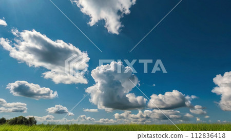 Illustration material: fresh green 112836418