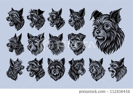 Collection of side view affenpinscher dog head illustration design 112836438
