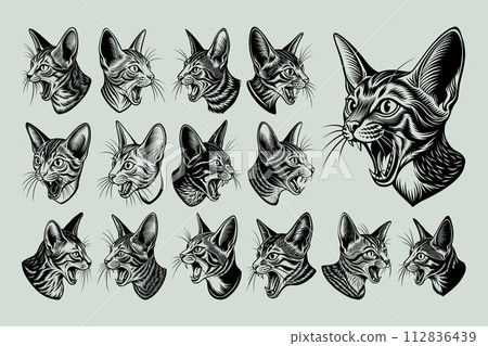 Illustration of flat detailed side view abyssinian cat head design set 112836439