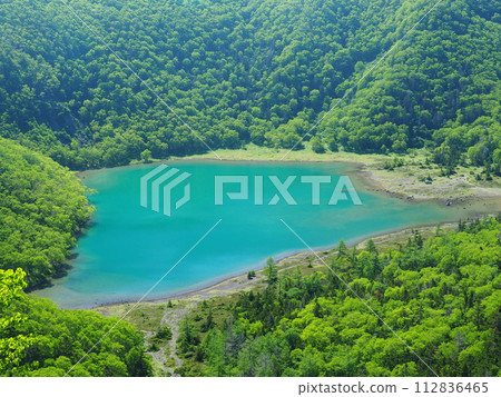 日光Shirane火山的Goshikuma 112836465