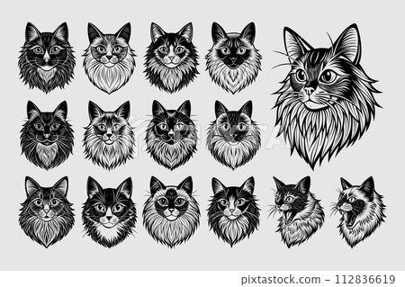 Silhouette of flat ragdoll cat head illustration design set 112836619