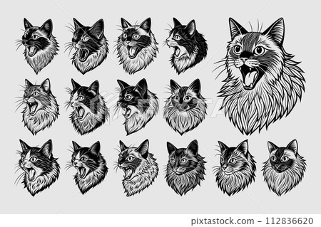 Bundle of detailed flat side view ragdoll cat head tshirt design 112836620