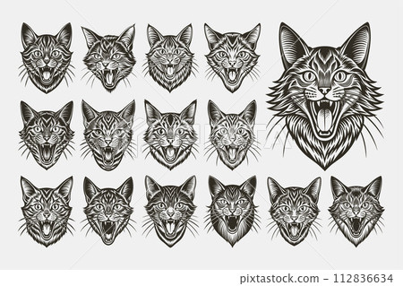 Funny meowing american bobtail cat in front view design vector set 112836634