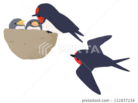 燕子插圖集 112837216