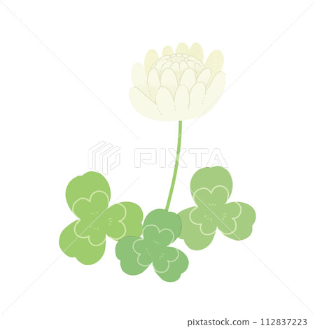 白三葉草和三葉草 112837223