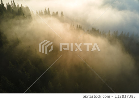 Aerial view of foggy evening over dark pine forest trees at bright sunset. Amazingl scenery of wild mountain woodland at dusk 112837383