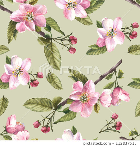 Branch of apple or other spring blossom tree seamless pattern, flowers and buds. Springtime blooming plant. Hand drawn botanical clipart for fabric, wrapping, wallpaper print Isolated green background 112837513