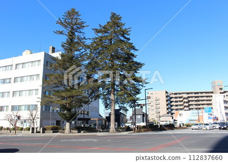 宇都宮輕軌西延線 宇都宮輕軌西延線 112837660