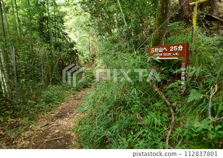 The view from the main enclosure of the castle road and stone walls of Akutagawa Yamashiro in Settsu 112837801