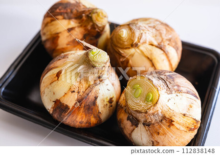 春味新蔥 112838148