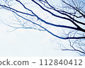 Tree branch 112840412