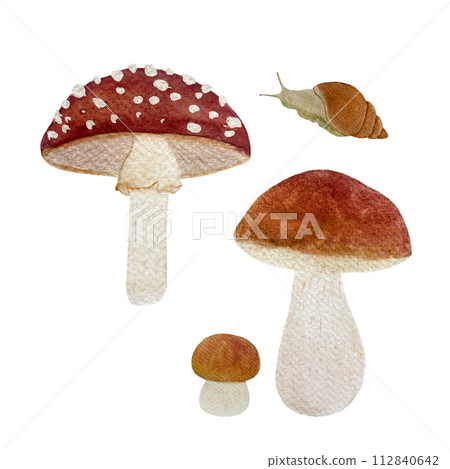 Watercolor porcini fly agaric mushroom snail set isolated on white 112840642