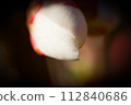 Flower of crumpled 112840686