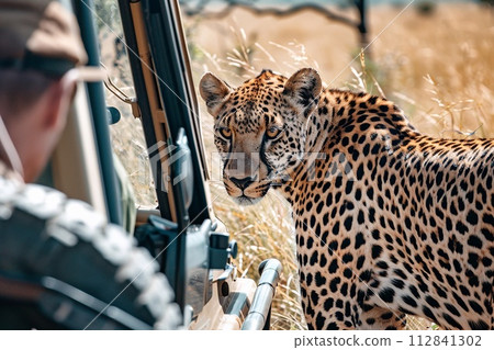 Solo safari expedition, Embracing the majesty of the wild. Solo safari expedition, Embracing the majesty of the wild. 112841302