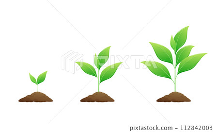 Illustration of growing plant buds 112842003