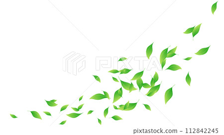 樹葉跳舞背景插畫素材_16:9 樹葉跳舞背景插畫素材_16:9 112842245