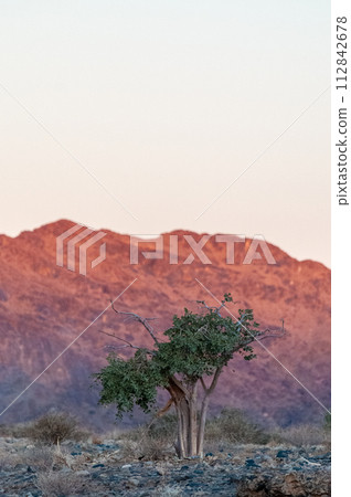 Sunset at Sesriem Canyon 112842678