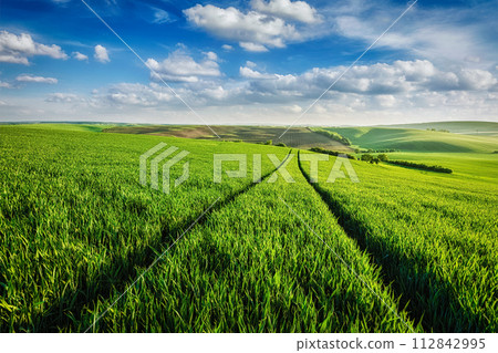 Green fields of Moravia Green fields of Moravia 112842995