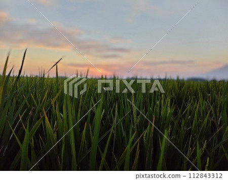 Beautiful sunset, taken around May 23, 2022, East Java, Indonesia, South Asia 112843312
