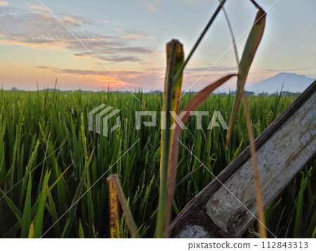 Beautiful sunset, taken around May 23, 2022, East Java, Indonesia, South Asia Beautiful sunset, taken around May 23, 2022, East Java, Indonesia, South Asia 112843313
