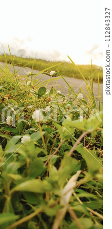 Rural roads are full of grass and quiet in the afternoon 112843327