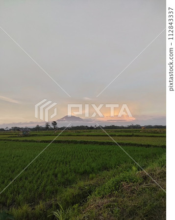 Rice farming on the edge of the mountain and beautiful roads with beautiful clouds in the afternoon and evening 112843337