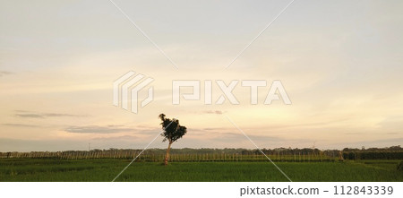 Rice farming on the edge of the mountain and beautiful roads with beautiful clouds in the afternoon and evening 112843339