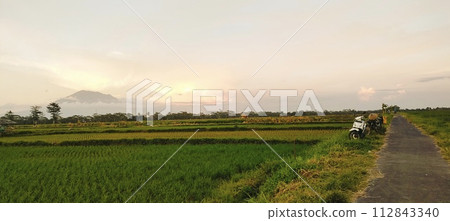 Rice farming on the edge of the mountain and beautiful roads with beautiful clouds in the afternoon and evening Rice farming on the edge of the mountain and beautiful roads with beautiful clouds in the afternoon and evening 112843340