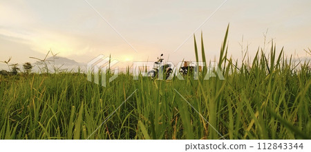 Rural roads are full of grass and quiet in the afternoon 112843344