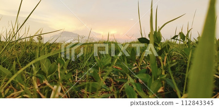 Rural roads are full of grass and quiet in the afternoon 112843345