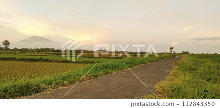 Rice farming on the edge of the mountain and beautiful roads with beautiful clouds in the afternoon and evening Rice farming on the edge of the mountain and beautiful roads with beautiful clouds in the afternoon and evening 112843350