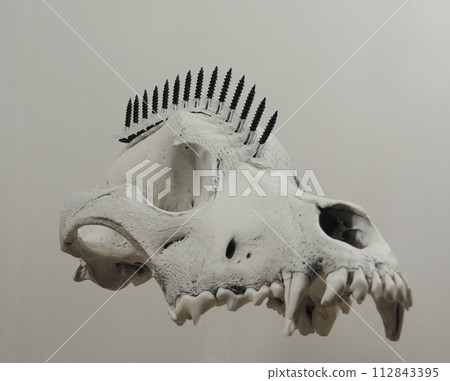 Steampunk Wolf Skull With Black Screws In Mohawk Hairstyle Floating In Air On White Background  112843395