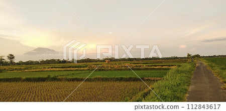Rice farming on the edge of the mountain and beautiful roads with beautiful clouds in the afternoon and evening 112843617