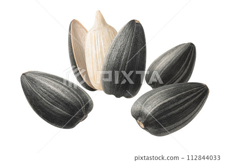 Flying sunflower seeds in circular shape. Isolated on white background Flying sunflower seeds in circular shape. Isolated on white background 112844033