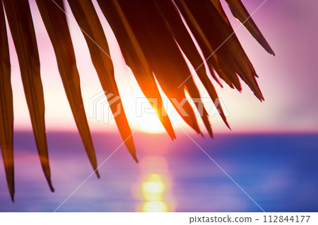 Warm sea, tropical sunset and carved palm leaves. Warm sea, tropical sunset and carved palm leaves. 112844177