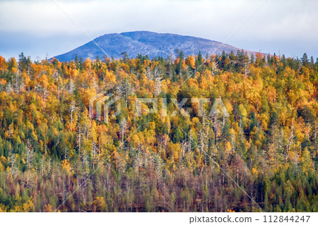 autumn forest 112844247