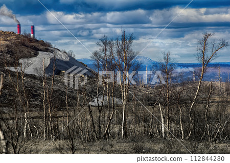 Plants of forest-tundra died because of air pollution platinum-Nickel plant Plants of forest-tundra died because of air pollution platinum-Nickel plant 112844280