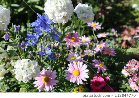 colorful spring flower arrangement 112844770
