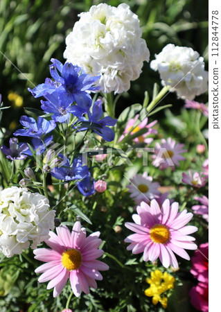 colorful spring flower arrangement colorful spring flower arrangement 112844778