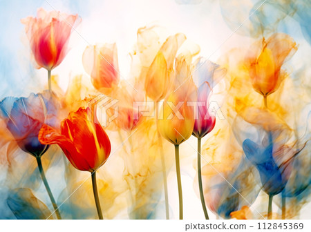 Spring tulips in the park with transparent over sky 112845369