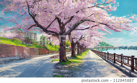 櫻花盛開的河邊綠樹成蔭的道路的插圖 櫻花盛開的河邊綠樹成蔭的道路的插圖 112845887