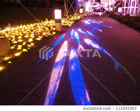 projection mapping projection mapping 112845903