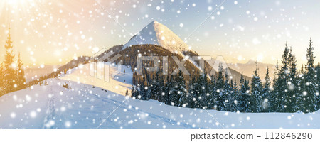 Beautiful winter panorama. Landscape with spruce pine trees, blue sky with sun light and high Carpathian mountains on background. 112846290