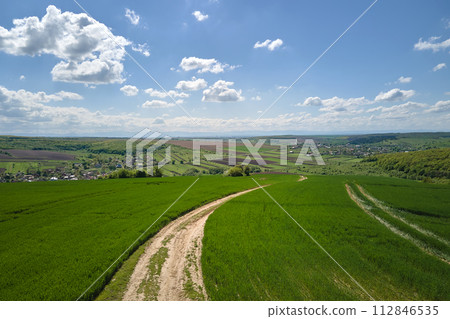 Agricultural cultivated field in summer season with growing crops. Green farm fields. Farming and agriculture industry Agricultural cultivated field in summer season with growing crops. Green farm fields. Farming and agriculture industry 112846535
