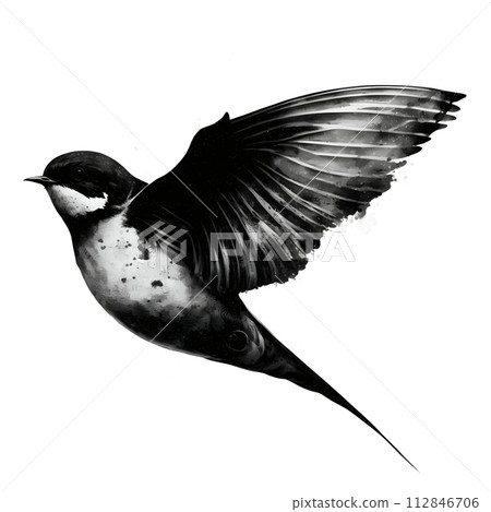 Black silhouette of a bird on white background. Black silhouette of a bird on white background. 112846706